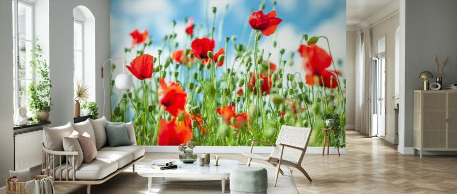 PHOTOWALL / Poppy Flowers Against Blue Skies (e92977)