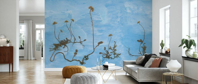 PHOTOWALL / North (e93004)