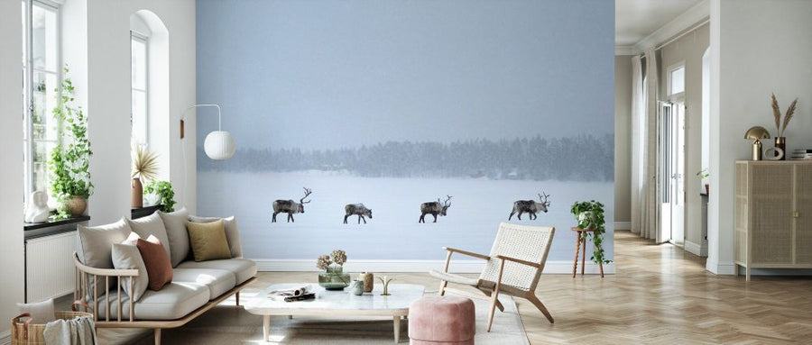 PHOTOWALL / Reindeers in the Snow in Swedish Lapland (e93104)