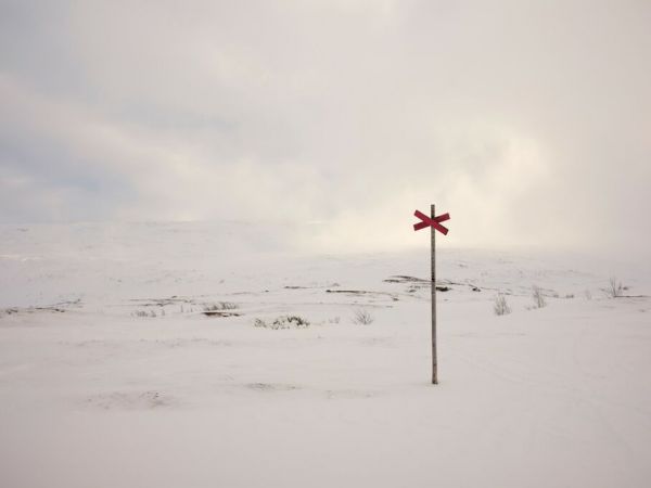 PHOTOWALL / Winter in Swedish Lapland (e93110)