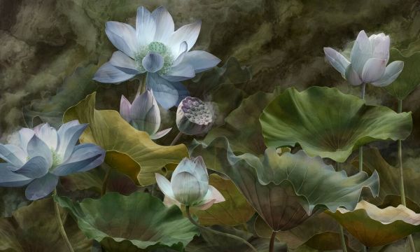 PHOTOWALL / Lotus Flowers (e93113)