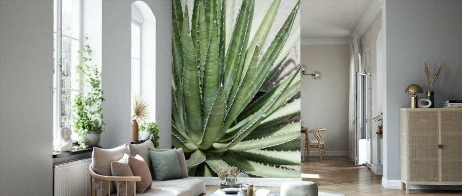 PHOTOWALL / Cacti Cactus - Agave Lechuguilla (e93136)