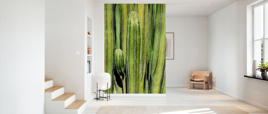 PHOTOWALL / Cacti Cactus - Cactus Overlay (e93137)