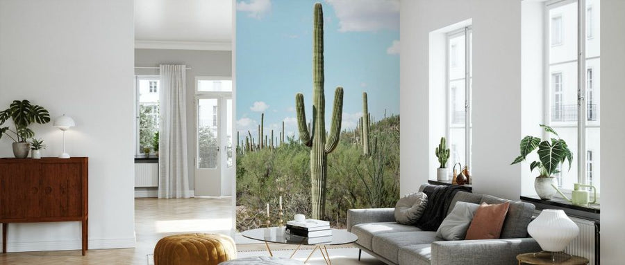 PHOTOWALL / Cacti Cactus - Saguaro Cactus (e93139)