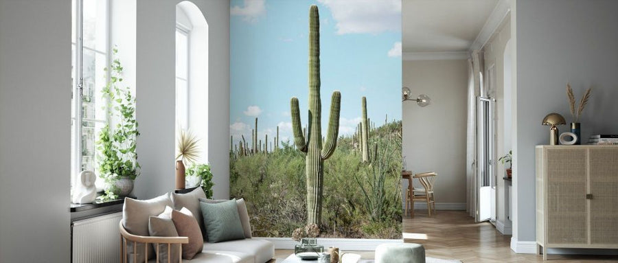 PHOTOWALL / Cacti Cactus - Saguaro Cactus (e93139)