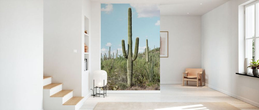 PHOTOWALL / Cacti Cactus - Saguaro Cactus (e93139)