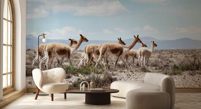 PHOTOWALL / Colors of Peru - Wild Llamas (e93144)