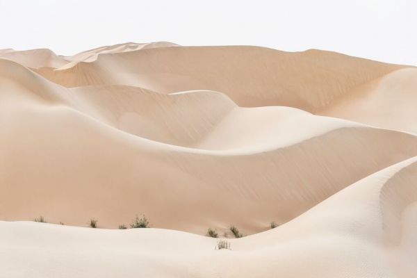 PHOTOWALL / Wild Sand Dunes - Almond Desert (e93157)