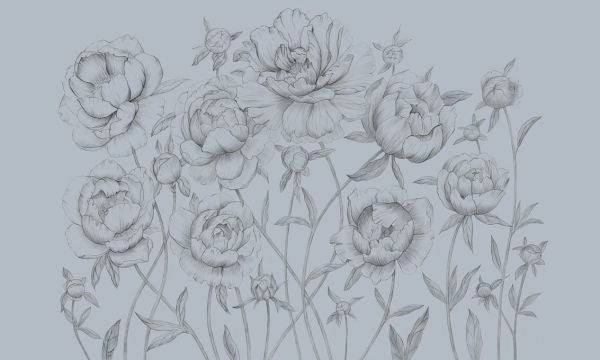 PHOTOWALL / Pions V (e93340)