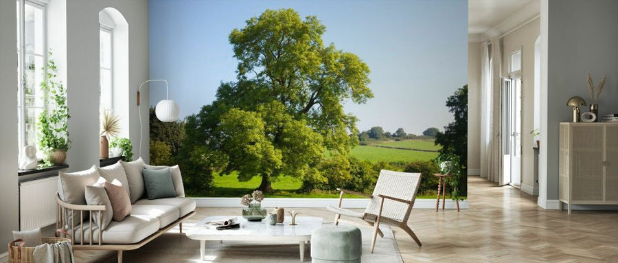 PHOTOWALL / Ash Tree Growing in a Field (e93346)