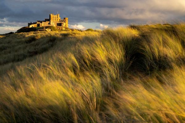 PHOTOWALL / Bamburgh Castle Surrounded by Marram Grass (e93347)