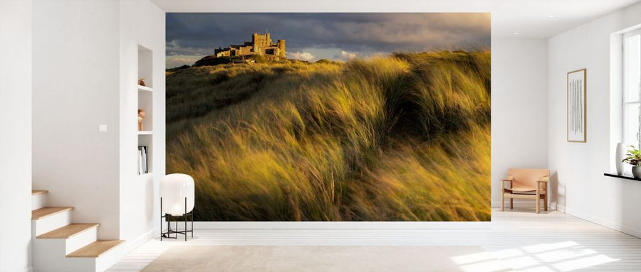 PHOTOWALL / Bamburgh Castle Surrounded by Marram Grass (e93347)