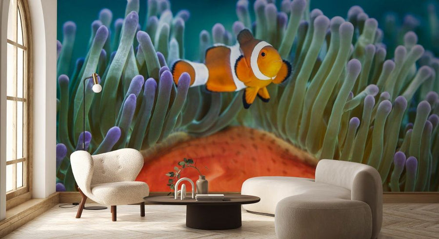 PHOTOWALL / Clownfish on a Coral Reef (e93349)