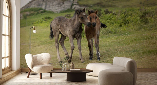 PHOTOWALL / Endangered Dartmoor Ponies (e93350)