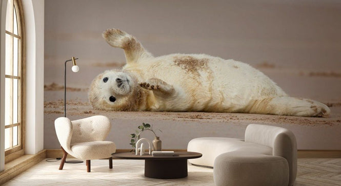 PHOTOWALL / Grey Seal Pup Relaxing (e93357)