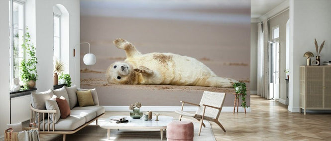 PHOTOWALL / Grey Seal Pup Relaxing (e93357)