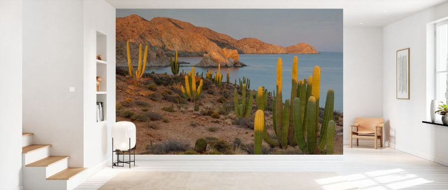 PHOTOWALL / Mexican Giant Cardon Cactus (e93359)