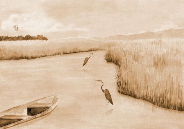 PHOTOWALL / Heron Bay - Sepia (e93499)