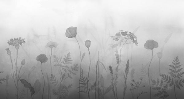 PHOTOWALL / Foggy Flowers - Graphite (e93512)