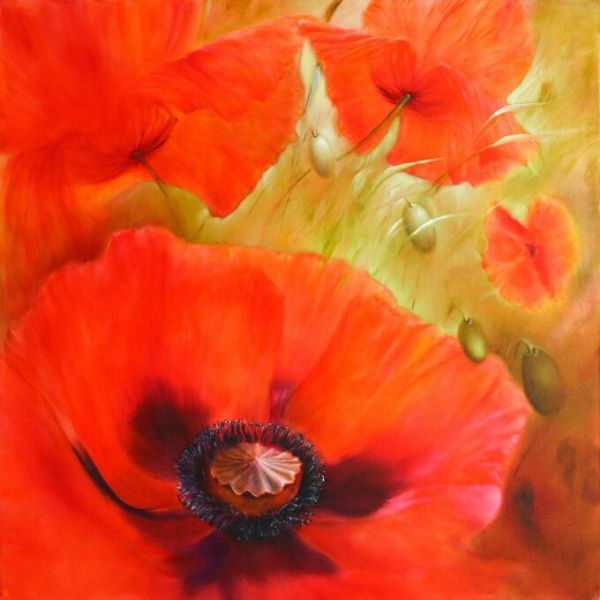 PHOTOWALL / Four Poppies (e93523)