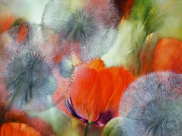 PHOTOWALL / Poppies and Dandelions II (e93525)