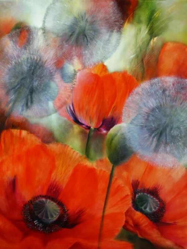 PHOTOWALL / Poppies and Dandelions IV (e93527)