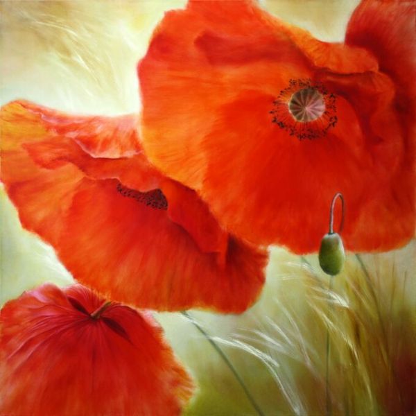 PHOTOWALL / Three Poppies II (e93534)