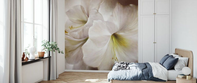 PHOTOWALL / White Amaryllis (e93535)