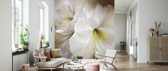 PHOTOWALL / White Amaryllis (e93535)