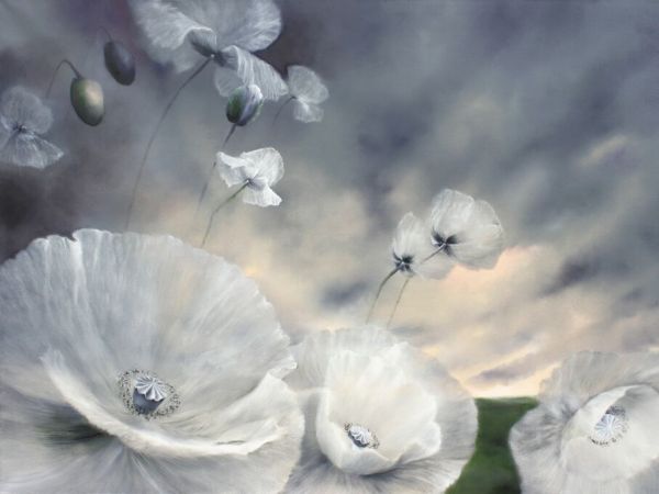 PHOTOWALL / White Poppies in the Soft Summer Wind II (e93537)