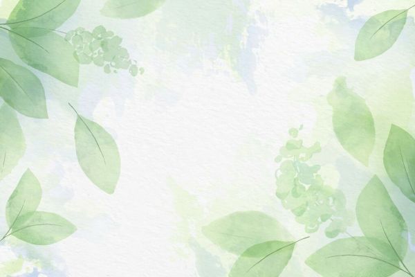 PHOTOWALL / Soft Green Leaves (e93542)