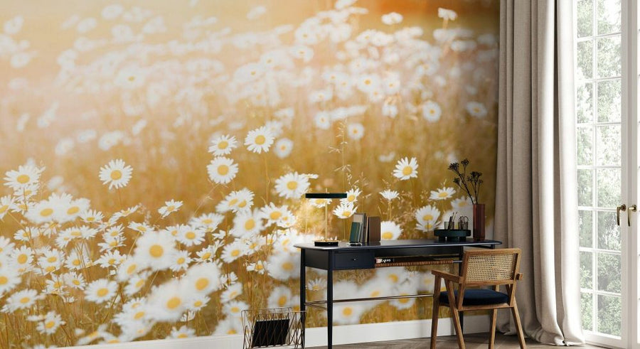 PHOTOWALL / Field of Daisies (e93546)