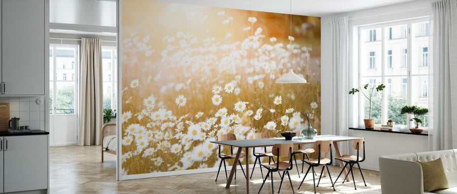 PHOTOWALL / Field of Daisies (e93546)