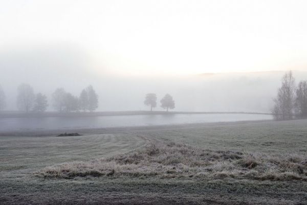 PHOTOWALL / Frosty Morning (e93547)