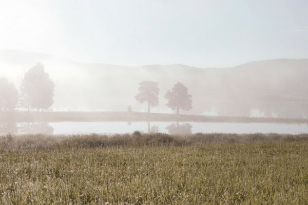 PHOTOWALL / Misty Path by the River (e93550)