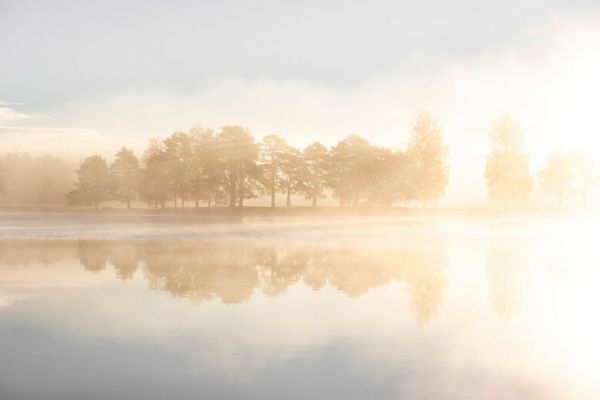 PHOTOWALL / Sunrise by the River (e93552)