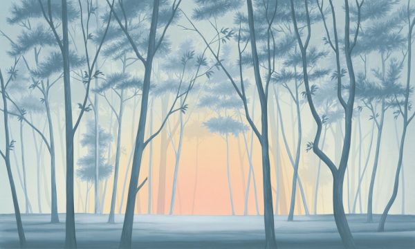 PHOTOWALL / Stunning Forest Trees (e93645)