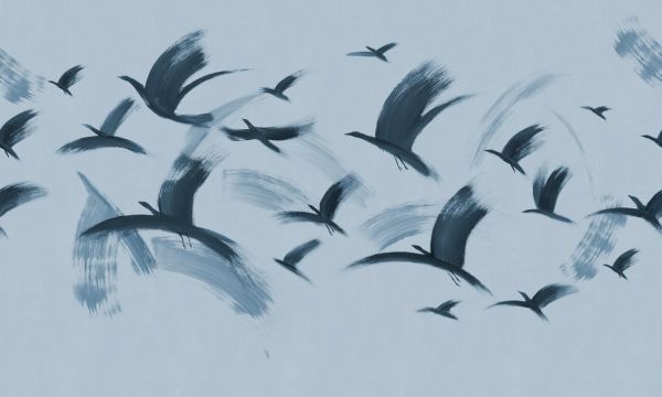 PHOTOWALL / Flock of Birds - Blue (e93680)