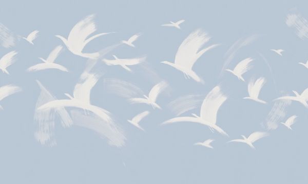 PHOTOWALL / Flock of Birds - Blue II (e93681)