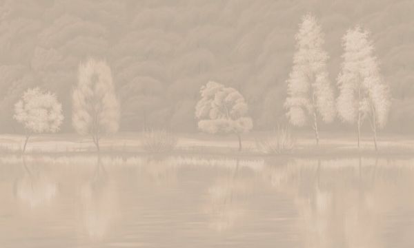 PHOTOWALL / Reflection by the Lake - Sepia Light (e93713)