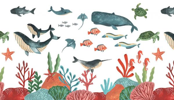 PHOTOWALL / Underwater Marine Life (e93715)