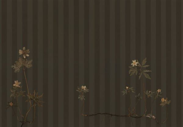 PHOTOWALL / Anemone (e93757)