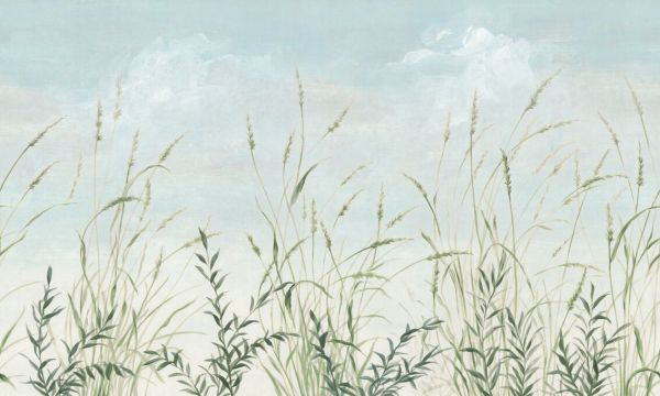 PHOTOWALL / Grass Against the Sky (e93771)