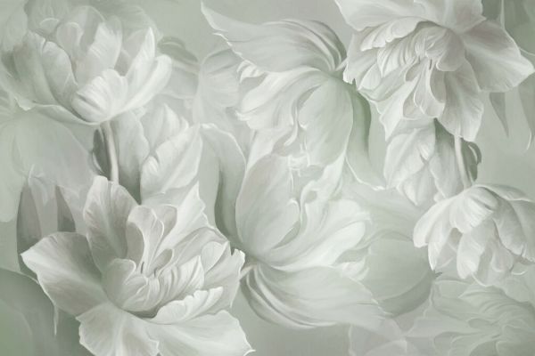 PHOTOWALL / Grand Tulips II (e93834)