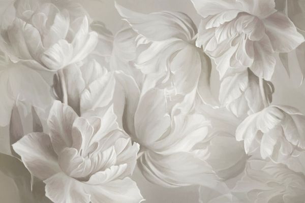 PHOTOWALL / Grand Tulips  III (e93835)