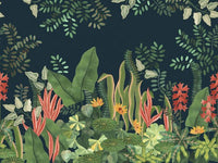 自然写真家 ハンヌハウタラ 写真集 Nature in the Kalevala foton. 43.728943, 142.944537 #foton#impressed_jp