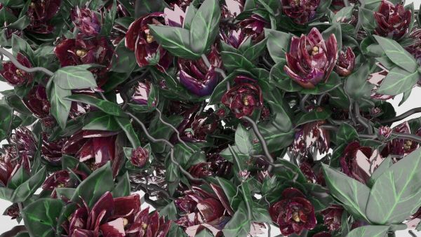 PHOTOWALL / Garden Party (e93900)