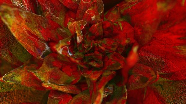 PHOTOWALL / I Desire my Gardener (e93902)