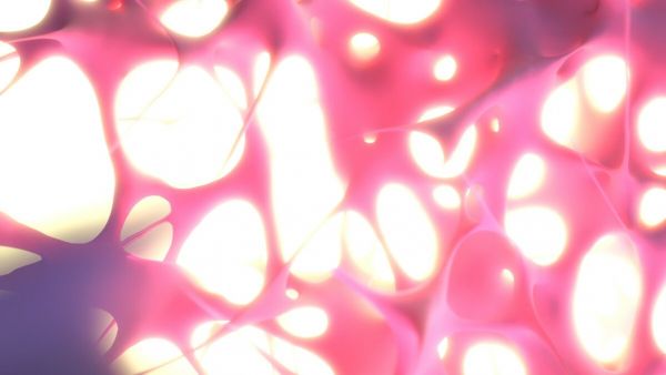 PHOTOWALL / Spiders Web (e93908)