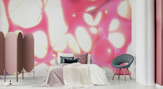 PHOTOWALL / Spiders Web (e93908)